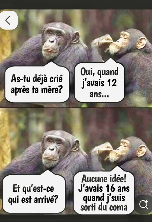 Langage des singes