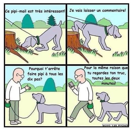 un chien marque sont territoire